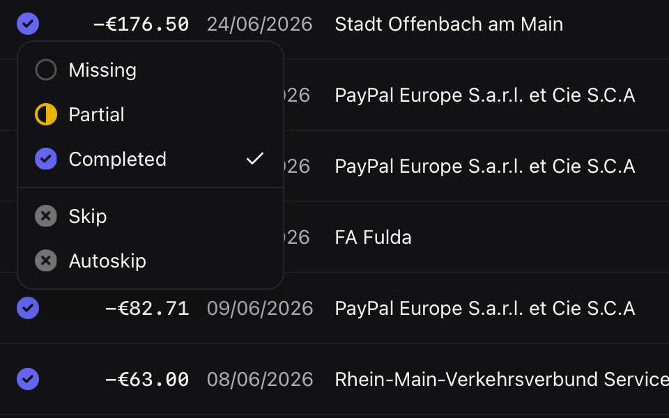 Belegdog — transaction inspector with manual match controls